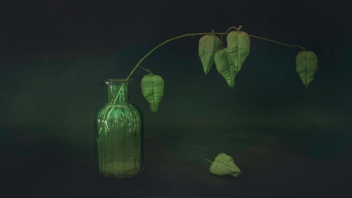 Greenish Poster och Canvastavla