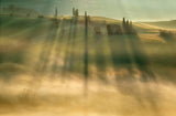 Mist... Poster och Canvastavla