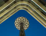 The lamp protection Poster och Canvastavla