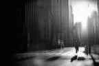 street, a quiet morning Poster och Canvastavla
