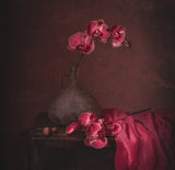 Pink Poster och Canvastavla