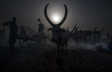 At a Mundari cattle camp - South Sudan Poster och Canvastavla