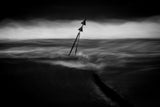 Groyne 3 Poster och Canvastavla