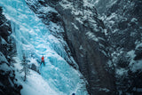 cold lead Poster och Canvastavla