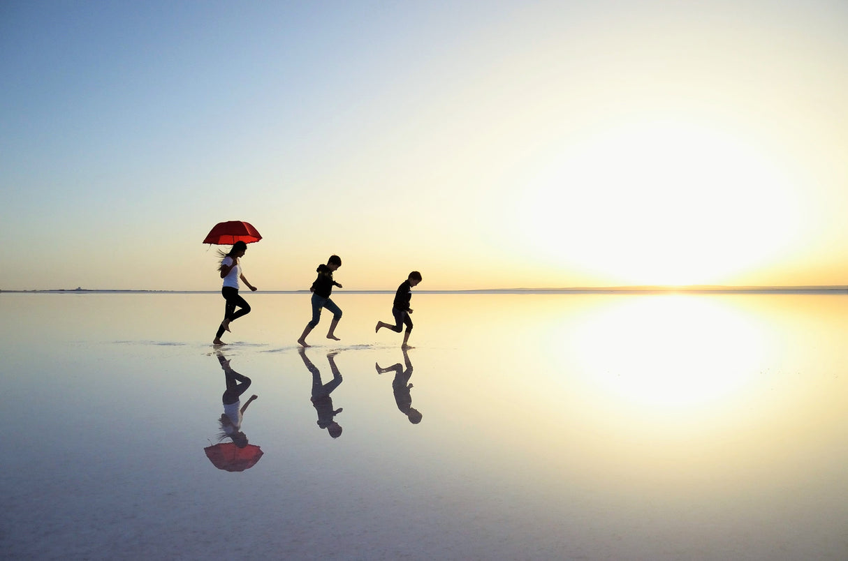 journey to the sun Poster och Canvastavla
