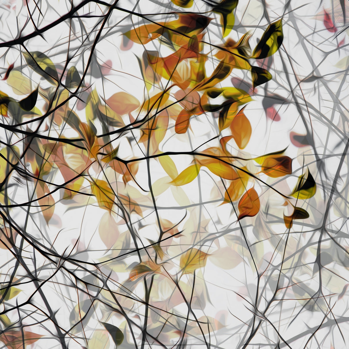 autumn song Poster och Canvastavla