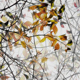 autumn song Poster och Canvastavla