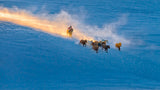 Winter sunset in Bashang Poster och Canvastavla