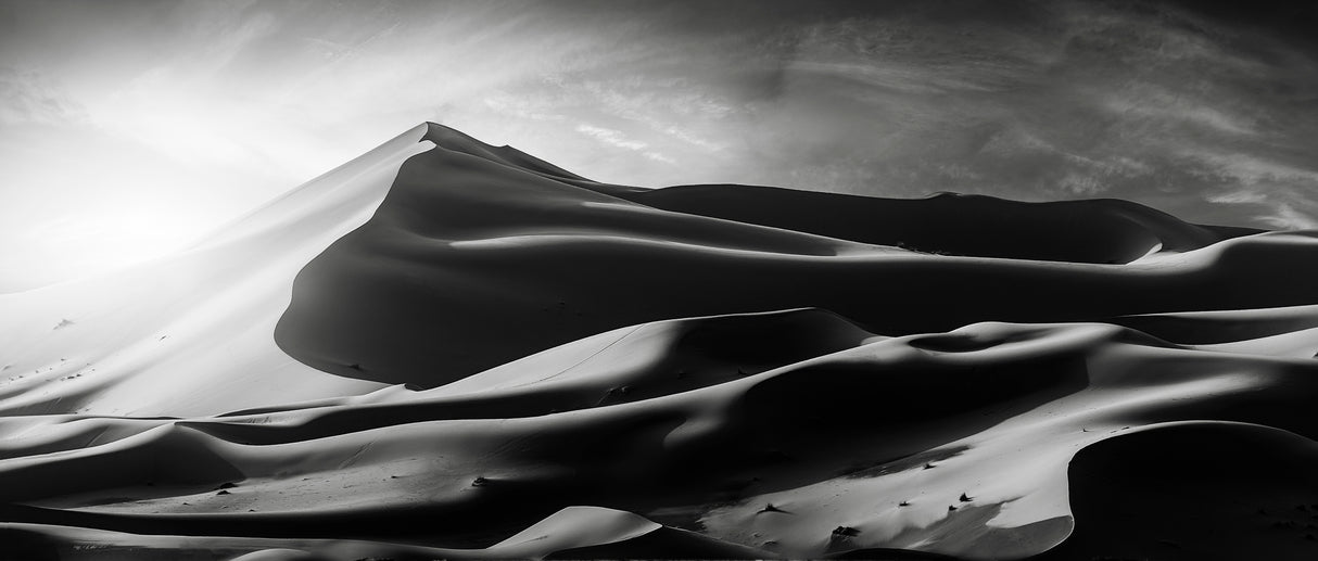 The dune and the sun Poster och Canvastavla