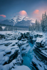 Athabasca Falls Poster och Canvastavla