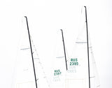 Sails Poster och Canvastavla