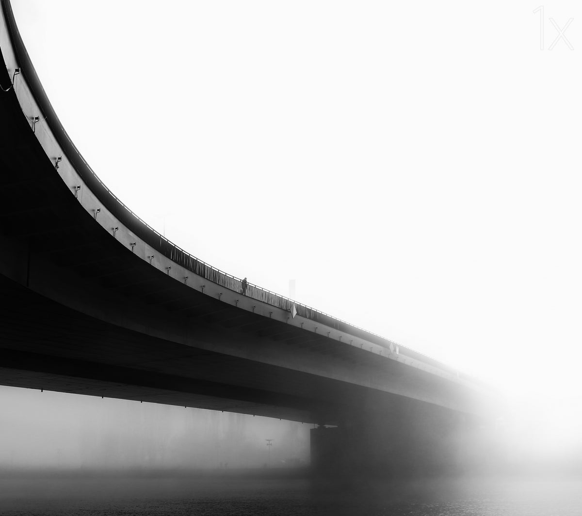 Walk into the mist Poster och Canvastavla