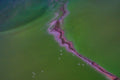 RIVER FROM THE SKY Poster och Canvastavla
