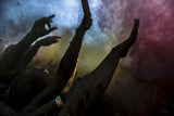 Holi  Festival of Colours Poster och Canvastavla