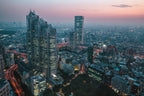 Tokyo at dusk Poster och Canvastavla