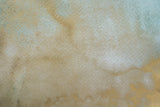 Gold Wc Bg 2 Poster och Canvastavla