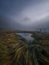 Fog magic Poster och Canvastavla