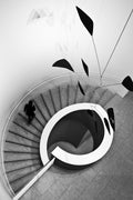 stairs Poster och Canvastavla