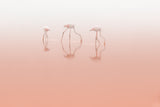 Pink silence ... Poster och Canvastavla