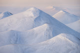 Winter Dream Poster och Canvastavla