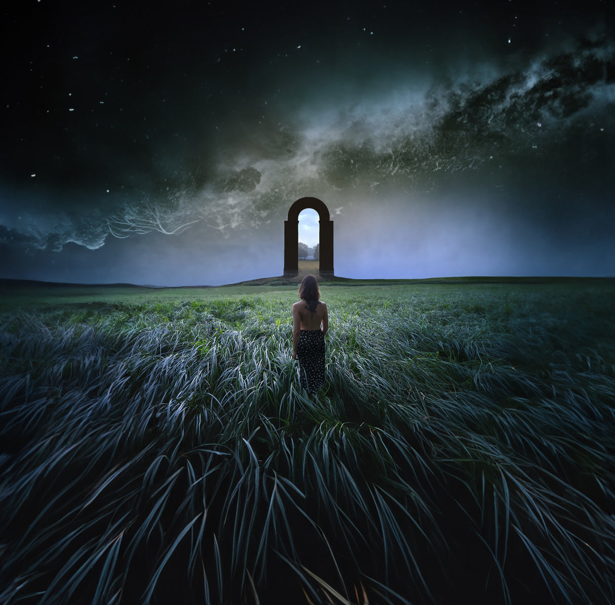 Returning Home Poster och Canvastavla