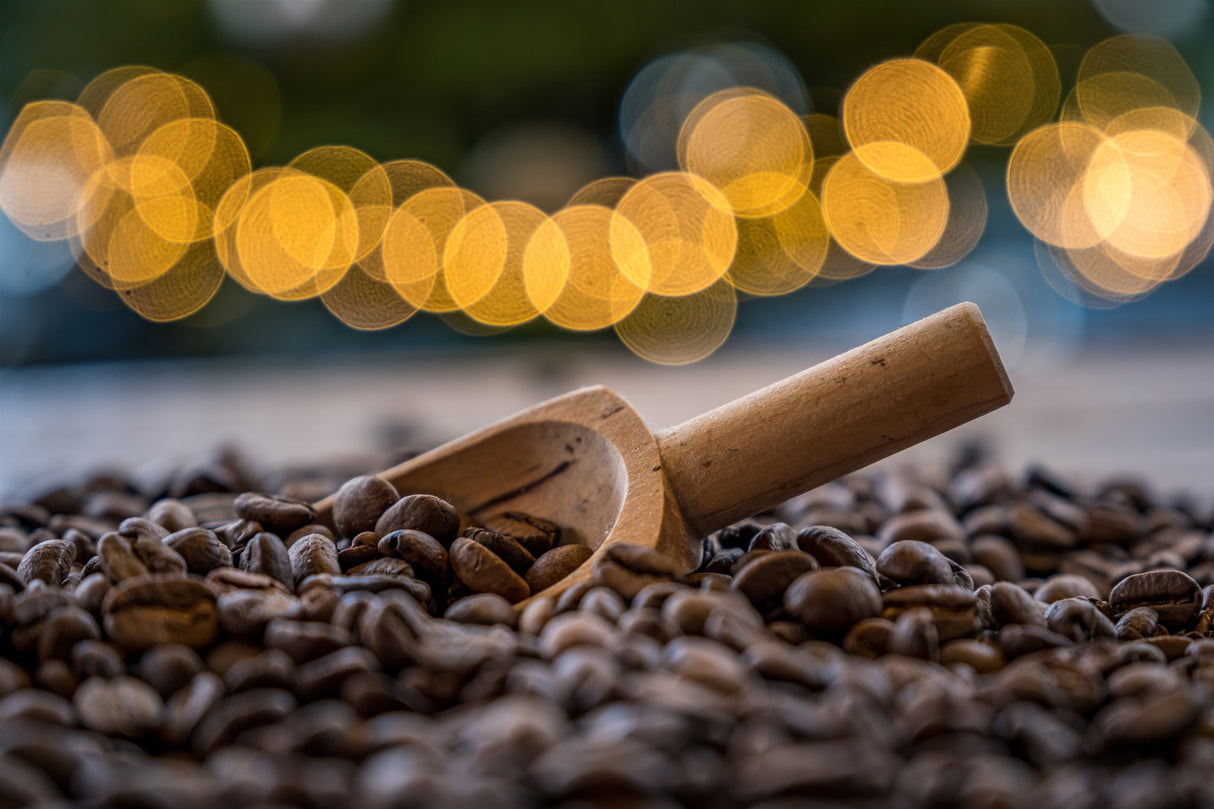 Coffee beans Poster och Canvastavla