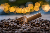 Coffee beans Poster och Canvastavla