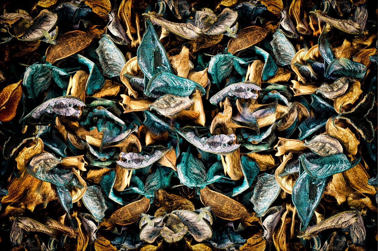 Les Feuilles Mortes Poster och Canvastavla