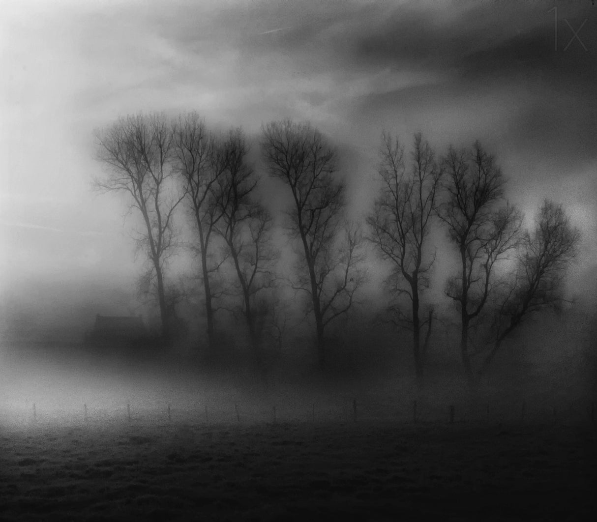 50 Shades of Fog Poster och Canvastavla