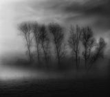 50 Shades of Fog Poster och Canvastavla