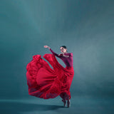 The girl &amp; dance Poster och Canvastavla