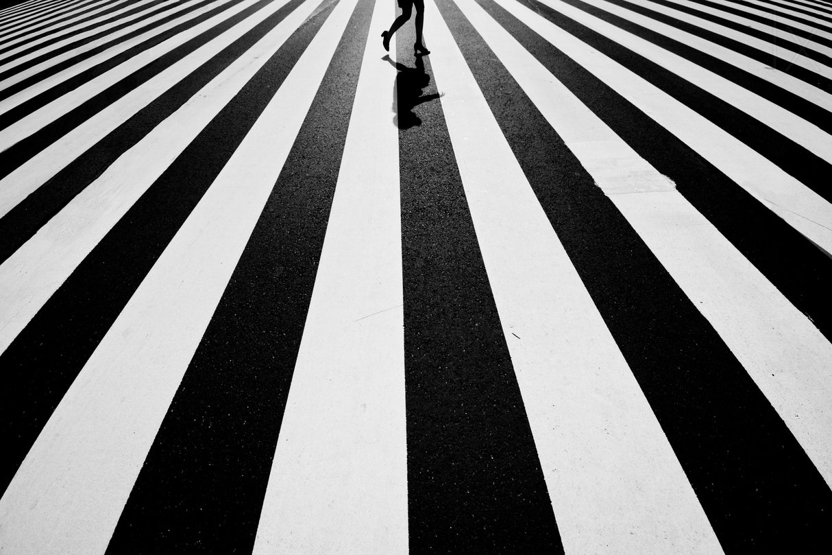 Black and white Poster och Canvastavla