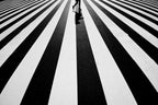 Black and white Poster och Canvastavla