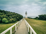 Cape Otway Poster och Canvastavla