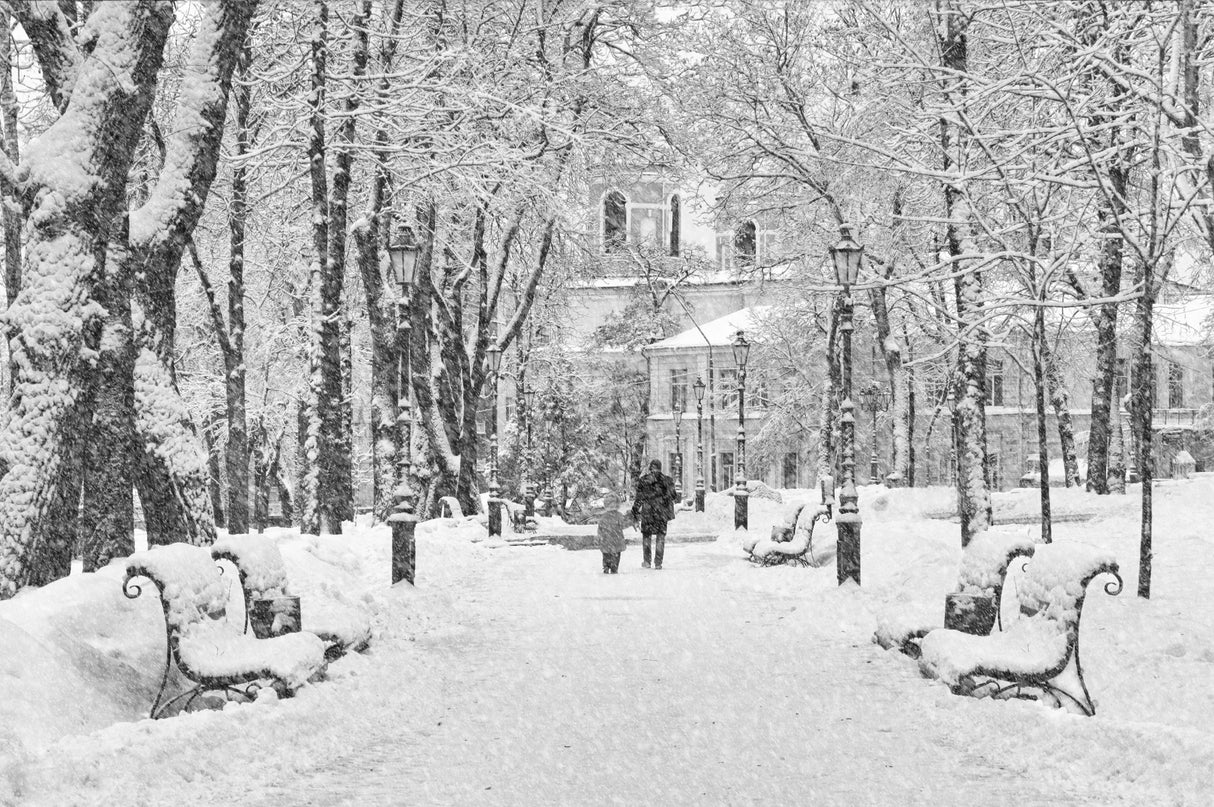 Walk in the winter park Poster och Canvastavla