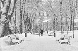 Walk in the winter park Poster och Canvastavla
