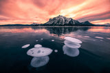 bubble lake Poster och Canvastavla