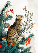 Cat's life 11 Poster och Canvastavla