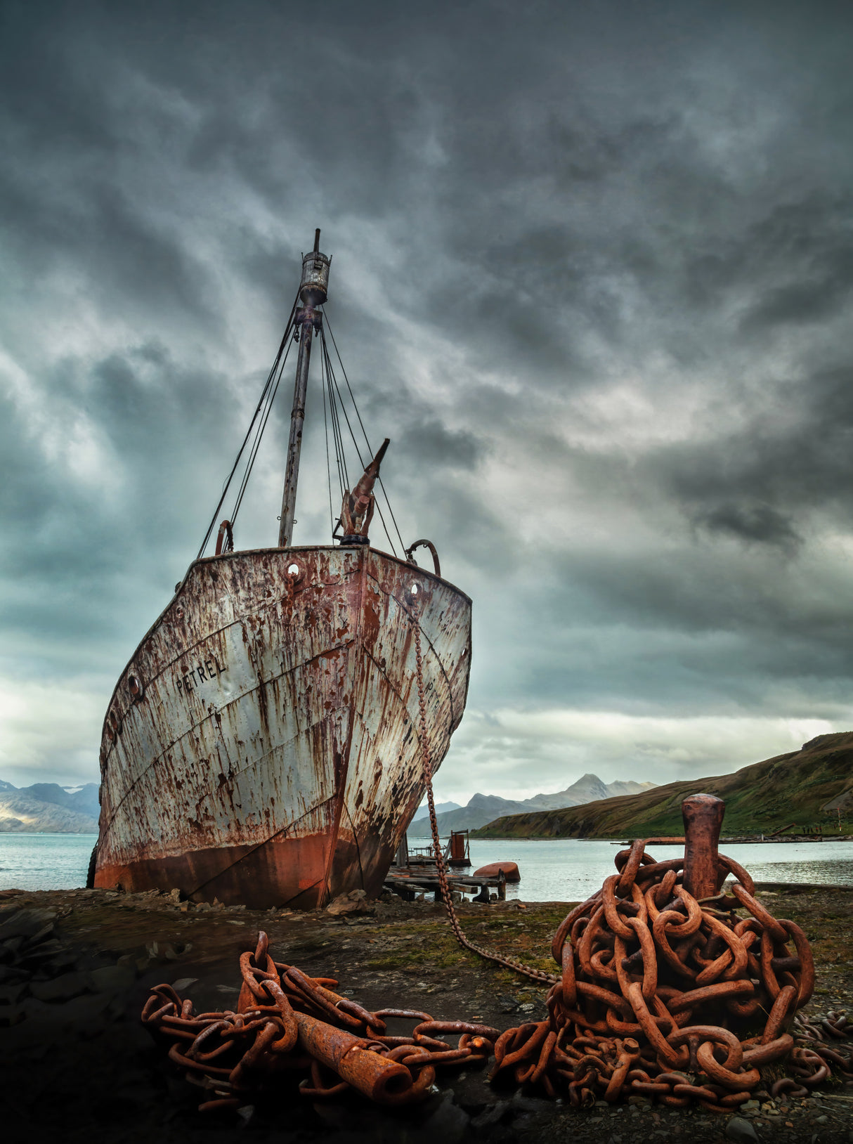 The history of whaling Poster och Canvastavla