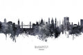 Budapest Hungary Skyline Poster och Canvastavla