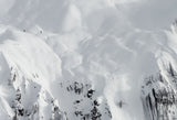 powder white slopes Poster och Canvastavla