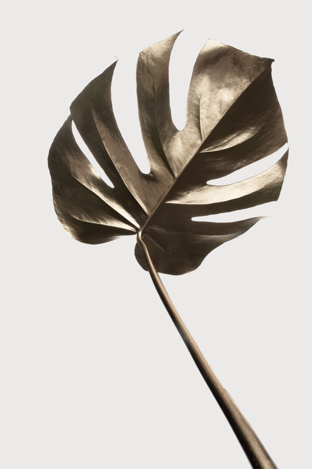Monstera Gold 04 Poster och Canvastavla