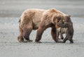 Playtime With Mom Poster och Canvastavla