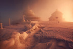 Winterland Poster och Canvastavla