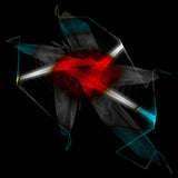Cosmic Web Poster och Canvastavla