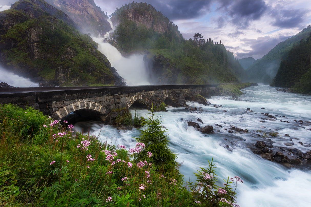 Låtefossen Poster och Canvastavla