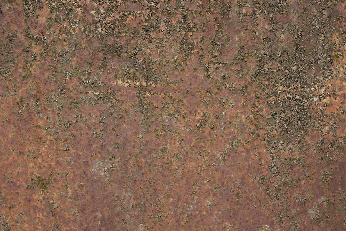 Rust 20 Poster och Canvastavla