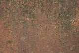 Rust 20 Poster och Canvastavla