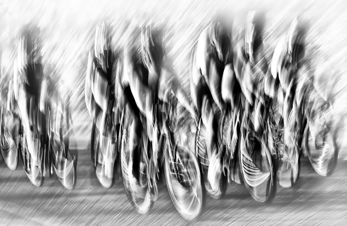 Photo-finish Poster och Canvastavla