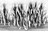 Photo-finish Poster och Canvastavla